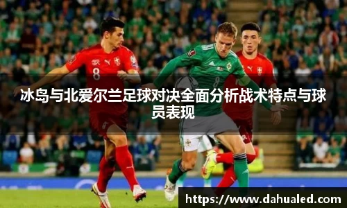 冰岛与北爱尔兰足球对决全面分析战术特点与球员表现