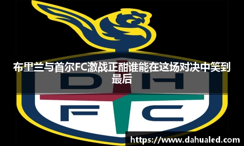 布里兰与首尔FC激战正酣谁能在这场对决中笑到最后